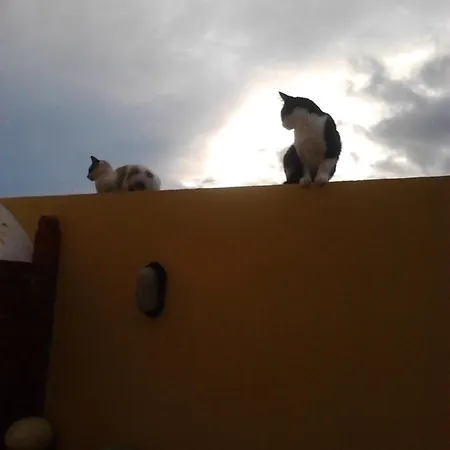 Casa Miramar Konukevi *